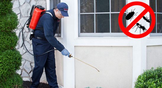 Yakakent Akrep İlaçlama böcek ilaçlama ve haşere kontrolü — ilaclama-tr.com